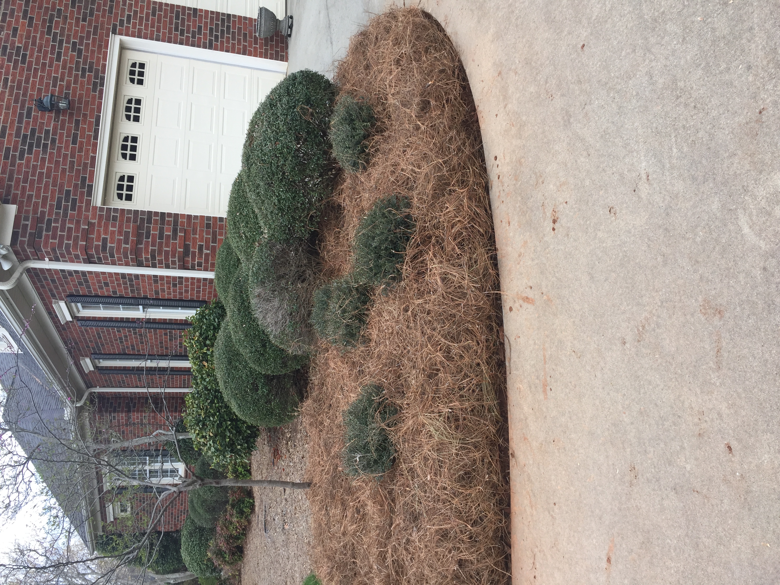 Landscaping project