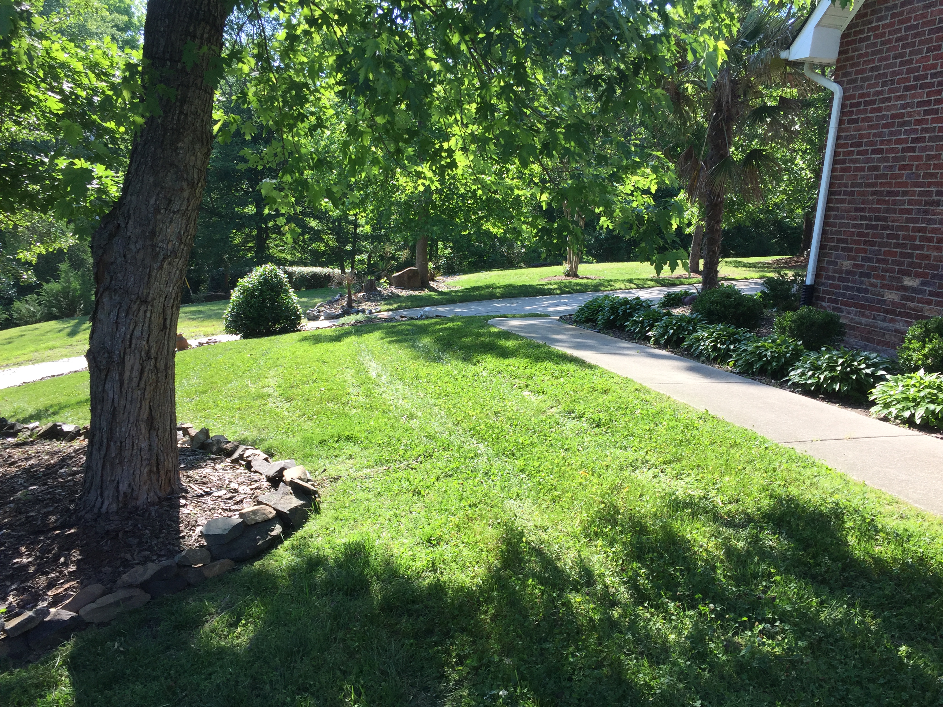 Landscaping project