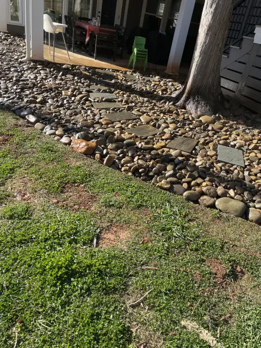 Decorative river-rock dry creek bed with stepping stones set around a mature tree