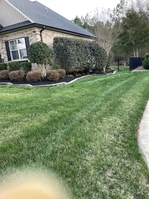 Freshly mowed and edged lawn with neatly trimmed hedges lining a brick home