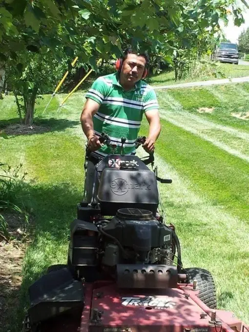 Amigoscape crew member striping a green lawn with a commercial walk-behind mower