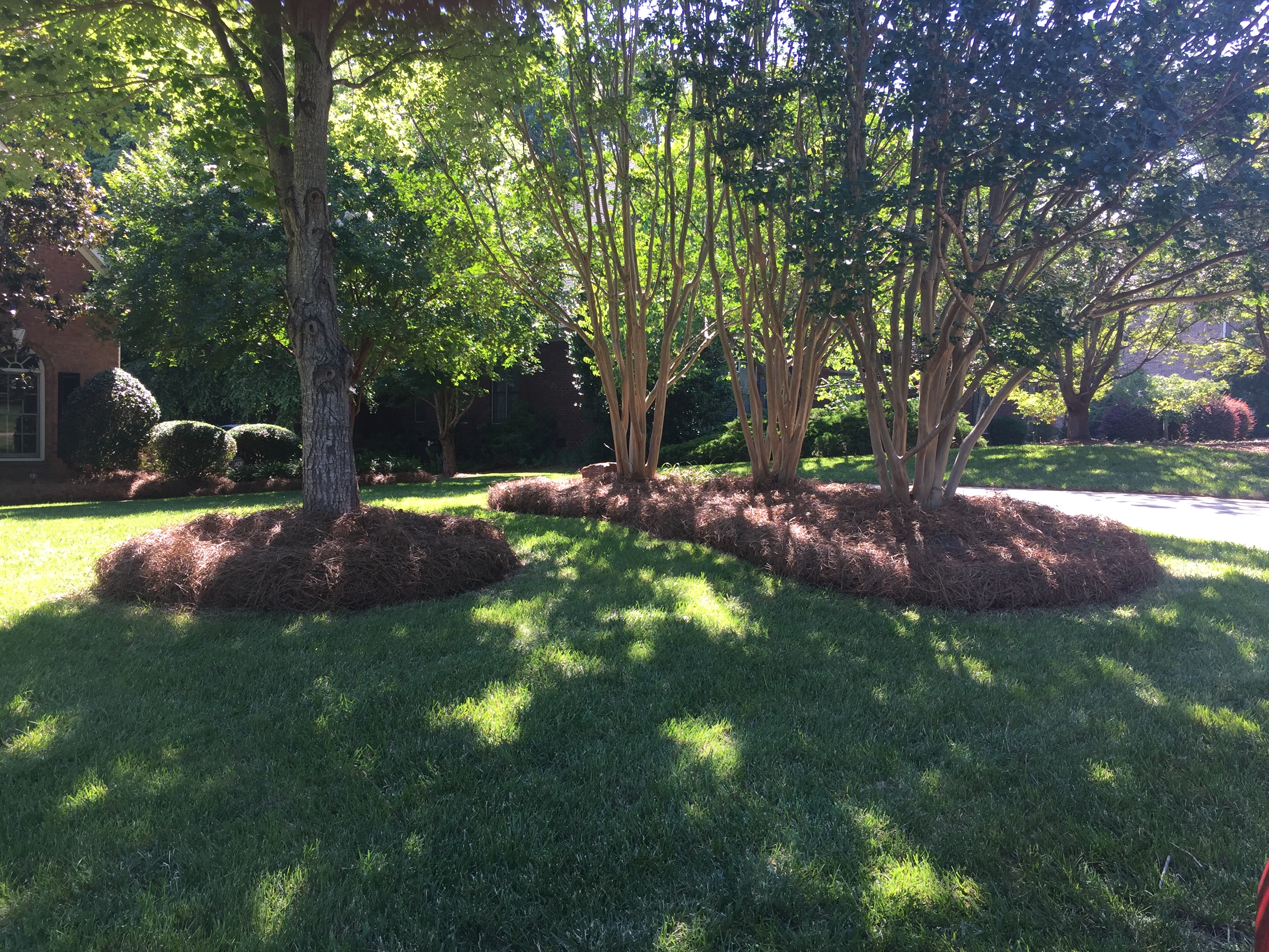 Landscaping in Concord, NC